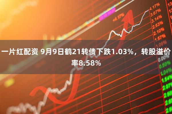 一片红配资 9月9日鹤21转债下跌1.03%，转股溢价率8.58%
