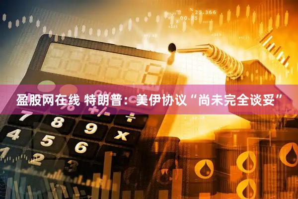 盈股网在线 特朗普：美伊协议“尚未完全谈妥”